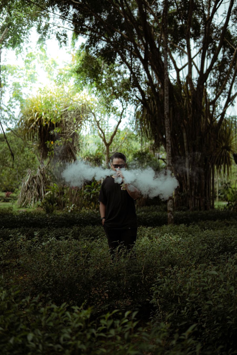 freebase e-liquid