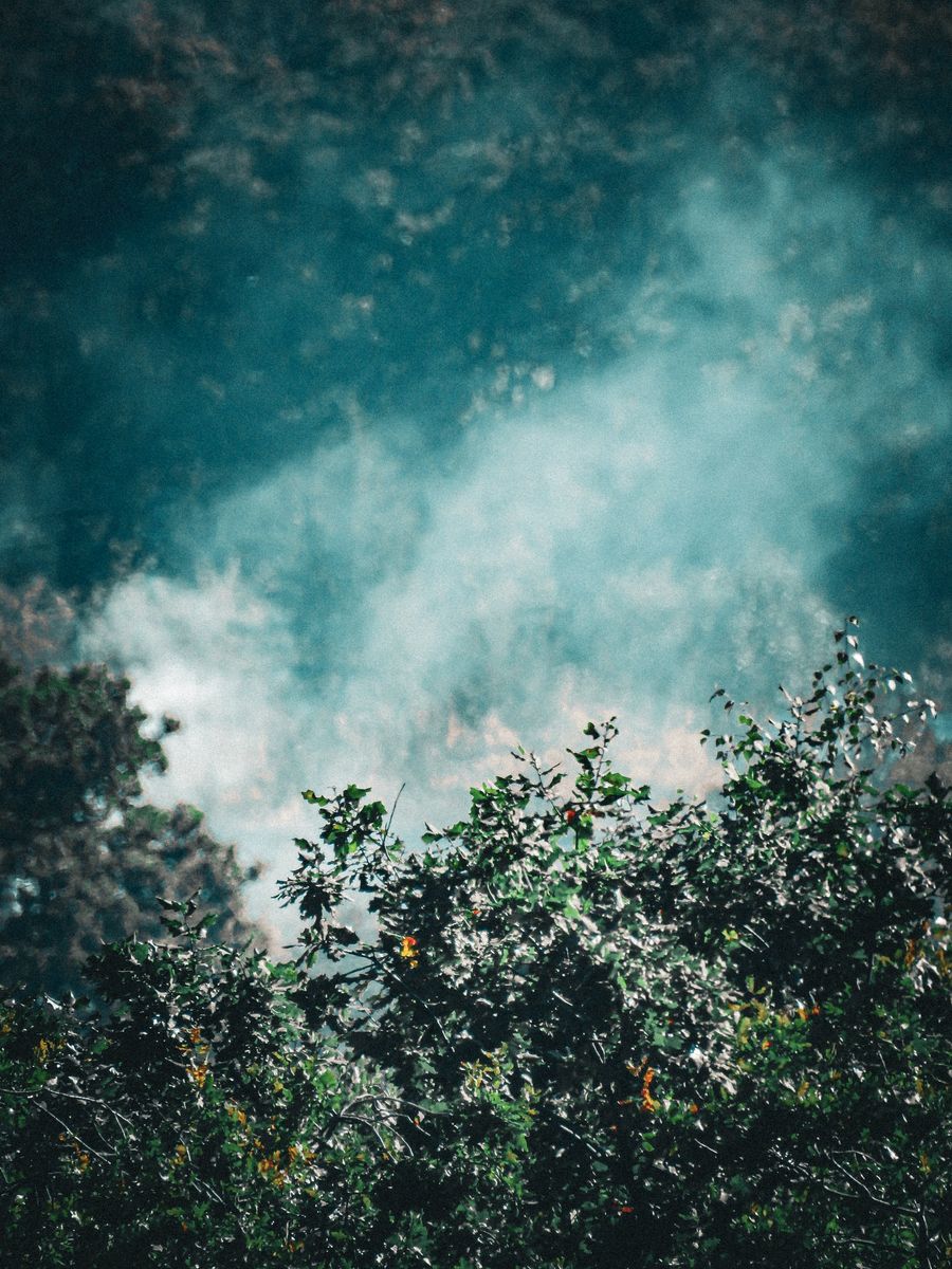 RTA