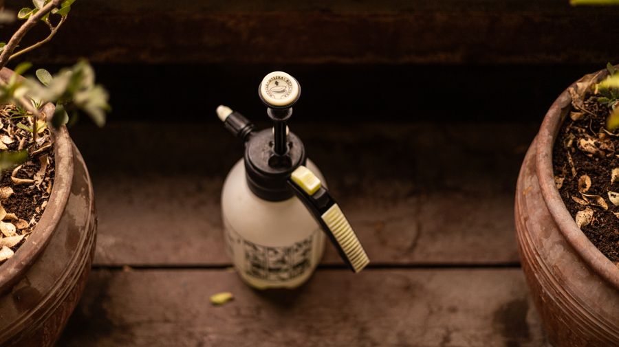 freebase e-liquid